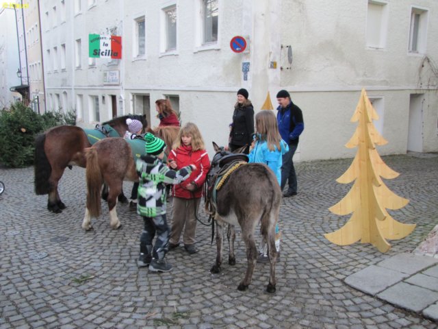 img_0538.jpg