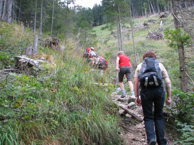 hochrie2009_9999_7.jpg