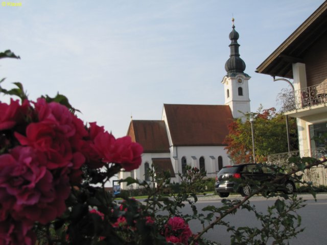 img_8137.jpg