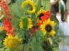 img_8311_small.jpg