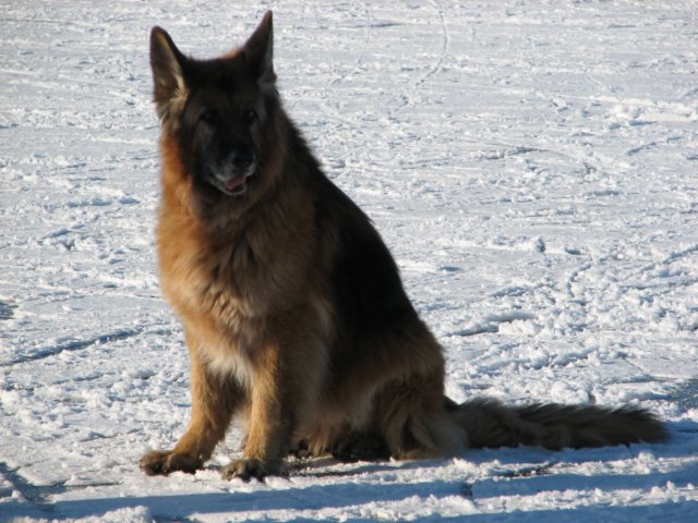 eisstockschieen2009_5859.jpg