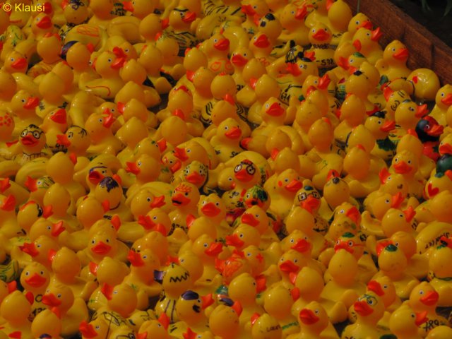 img_6831.jpg