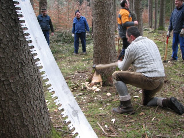 maibaumschneiden2008_5657.jpg