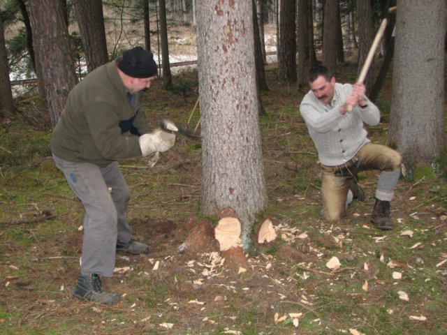 maibaumschneiden2008_5661.jpg