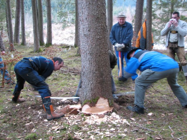 maibaumschneiden2008_5666.jpg