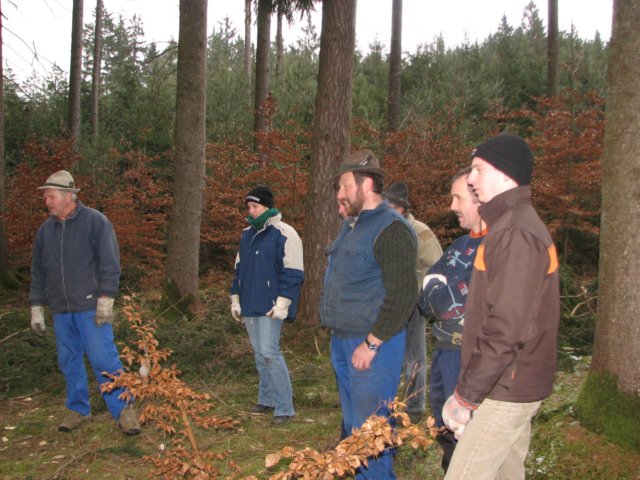 maibaumschneiden2008_5686.jpg