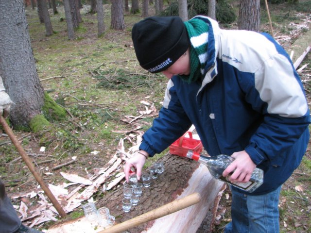 maibaumschneiden2008_5774.jpg