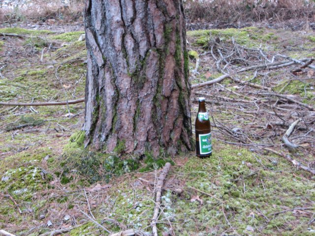 maibaumschneiden2008_5783.jpg