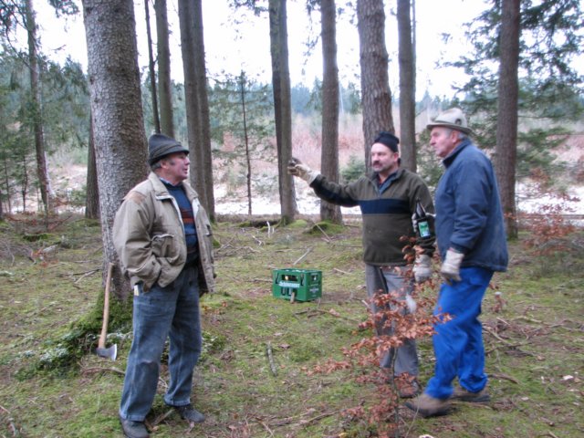 maibaumschneiden2008_5813.jpg