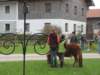 proderfahrn2008_4988_small.jpg