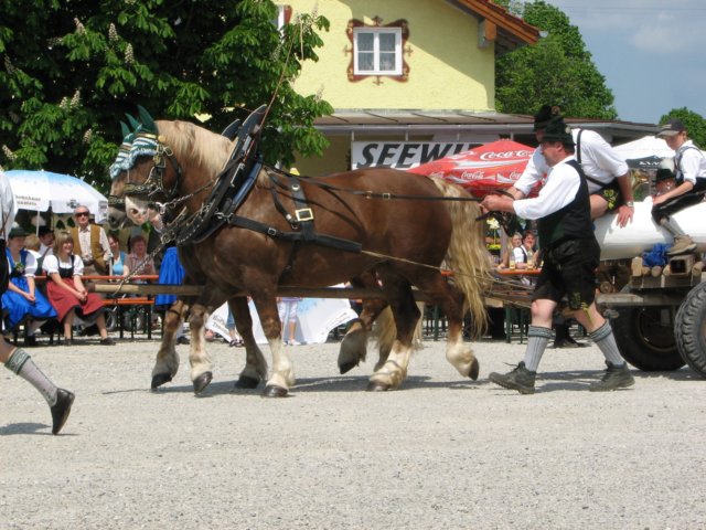 maibaufstellen_8828.jpg