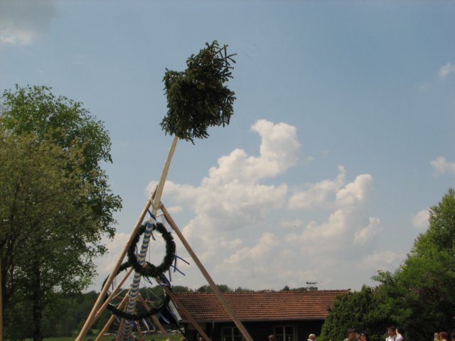 maibaufstellen_8859.jpg