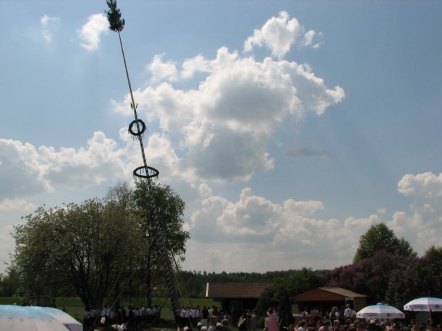 maibaufstellen_8936.jpg