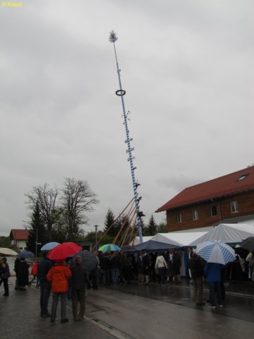 img_0864.jpg