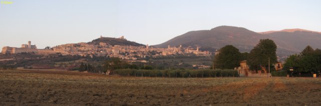 assisi.jpg