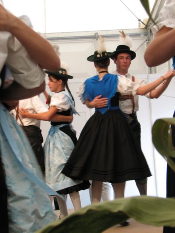 salza2008_4432.jpg