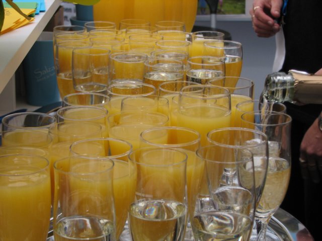salza2008_4481.jpg
