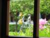 bayernpark_9346_small.jpg