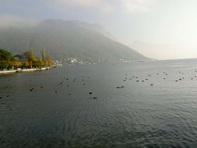 pict3194.jpg