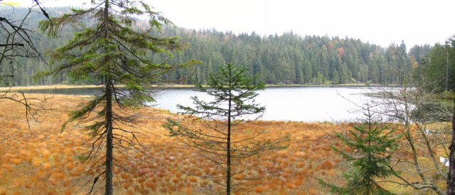 arbersee.jpg