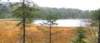 arbersee_small.jpg