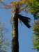 img_7282_small.jpg
