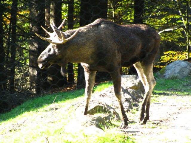 img_7311.jpg