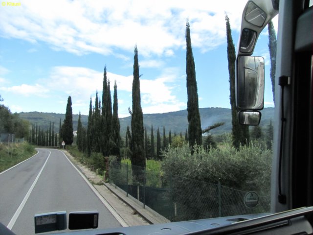 img_9636.jpg