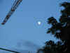 14.jpg (36033 Byte)