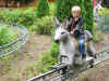 Bayern-Park2007_6477.jpg (107966 Byte)