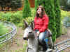 Bayern-Park2007_6483.jpg (98518 Byte)