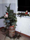 Jahresabschlufeier2005 027.jpg (113578 Byte)