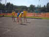 Stadionfest2005k 011.jpg (37254 Byte)